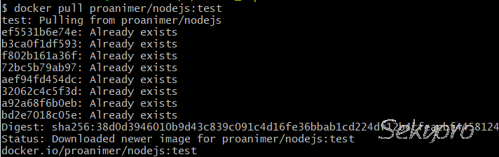 image-20230213190537437